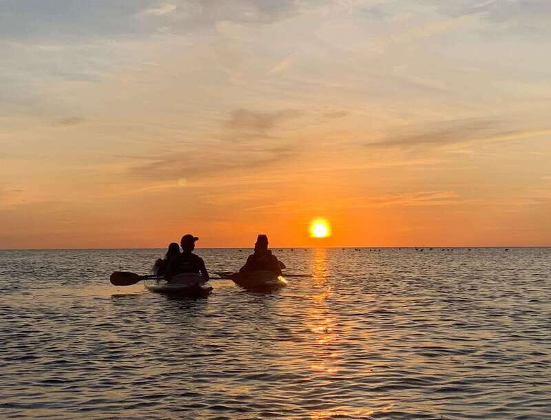Holbox: Mangrove Sunset Kayak Tour - Key Points