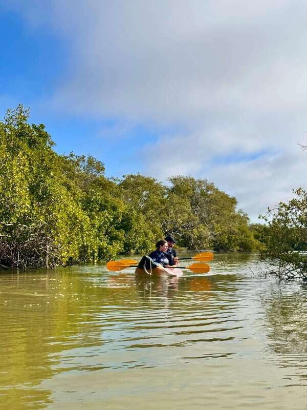 Holbox: Mangrove Sunset Kayak Tour - FAQ