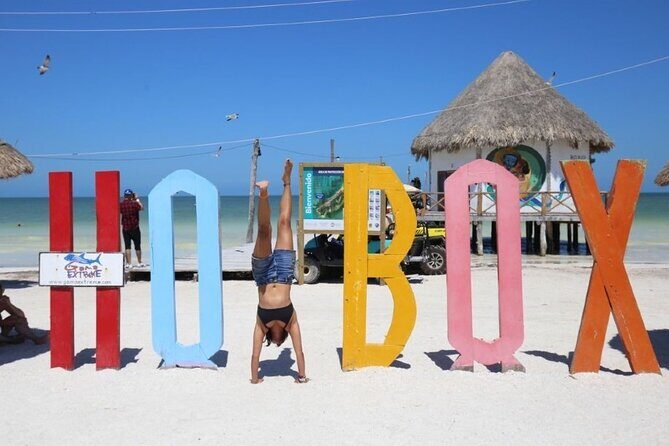 Holbox Mosquito Adventure by ferry from Riviera Maya & Tulum - End of the Day: Return Journey