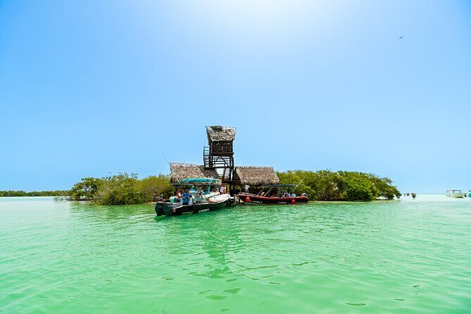 Holbox Paradise Island - What Makes This Tour a Good Choice?