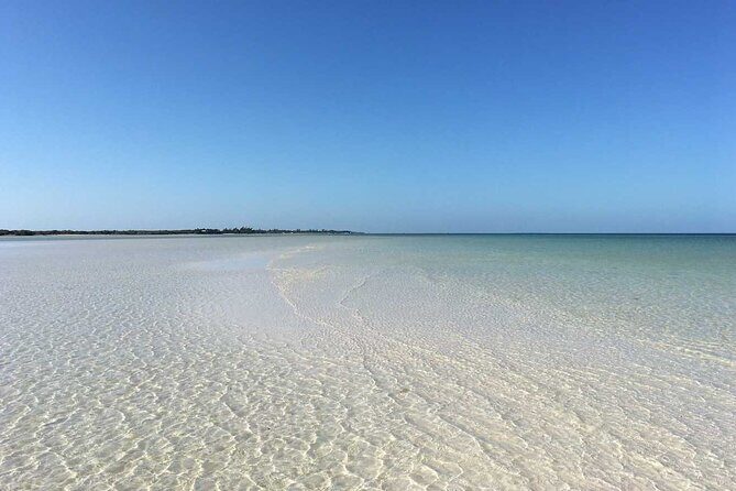 Holbox Peaceful Adventure (Two Islands and Cenote). - The Sum Up