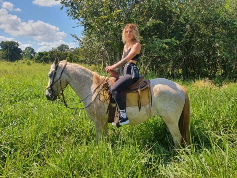 Holbox: Private Horseback Riding - Key Points