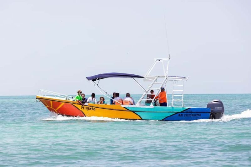Holbox: Search and Swim with Whale Sharks ! All Inclusive. - A Closer Look at the Tour Experience