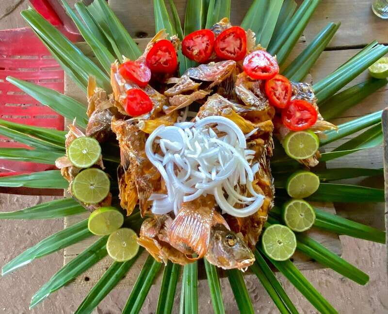 Holbox: Snorkeling, Fishing, and Ceviche Tour - The Itinerary in Detail