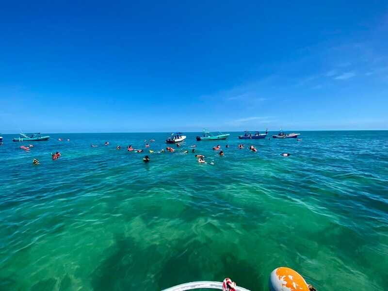 Holbox: Snorkeling, Fishing, and Ceviche Tour - Pricing and Value