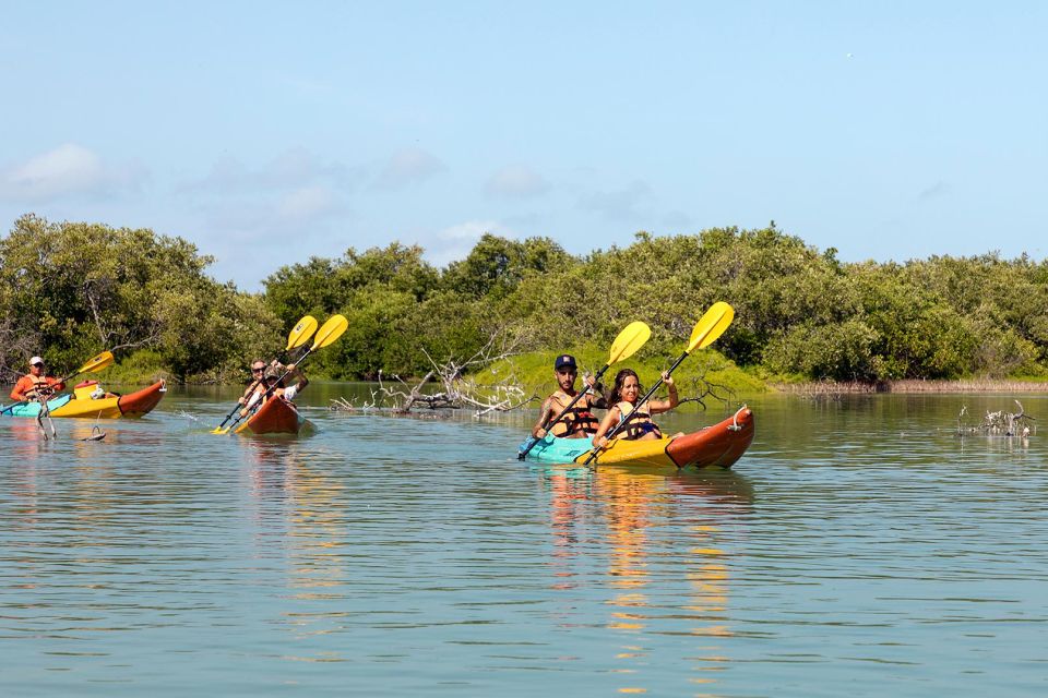Holbox: Sunrise Kayak Tour Through the Mangroves - Tour Details