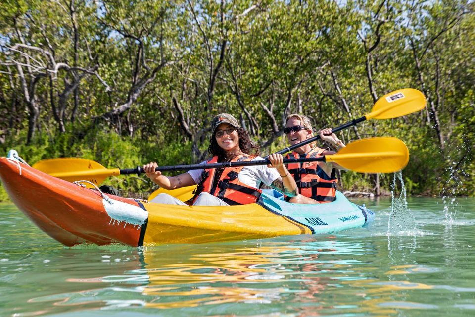 Holbox: Sunrise Kayak Tour Through the Mangroves - Observing Seasonal Birds