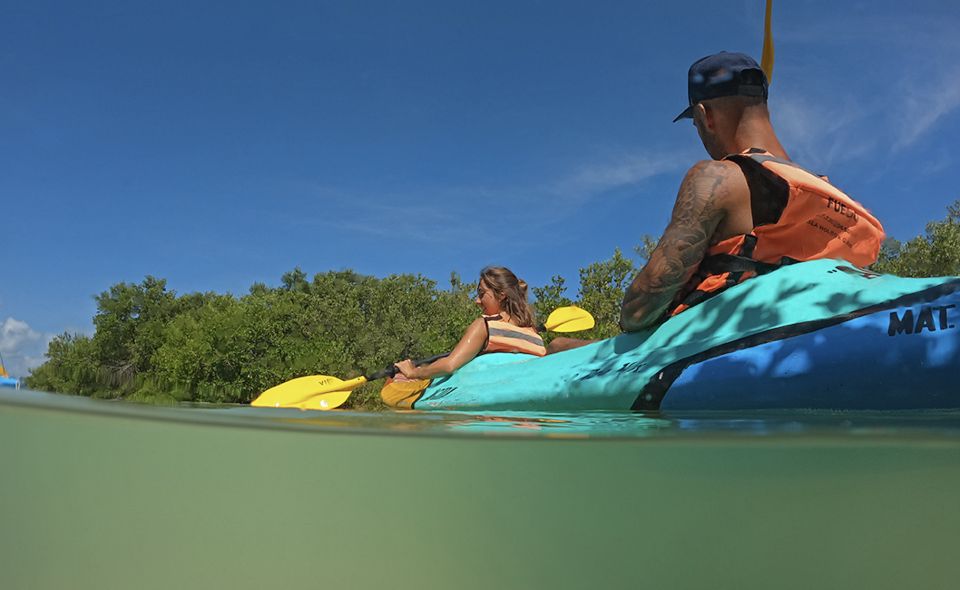 Holbox: Sunrise Kayak Tour Through the Mangroves - Included in the Tour