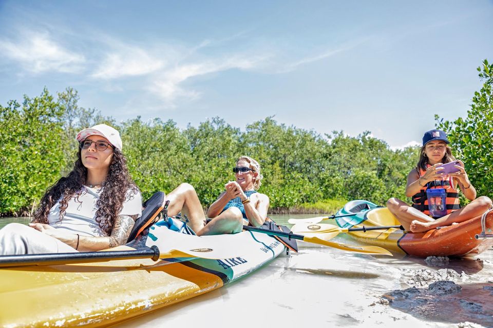 Holbox: Sunrise Kayak Tour Through the Mangroves - Excluded From the Tour