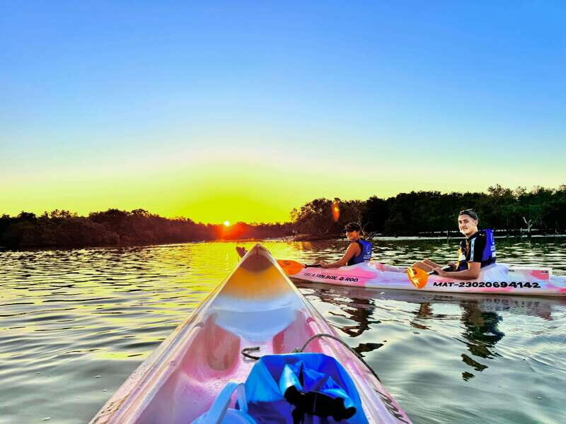 Holbox: Sunrise & Mangrove Kayak Tour - A Detailed Look at the Tour Experience