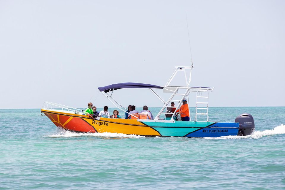 Holbox: Swimming With Wild Whale Sharks Boat Trip - Small Group Swimming Experience