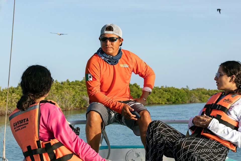 Holbox: Swimming With Wild Whale Sharks Boat Trip - Frequently Asked Questions