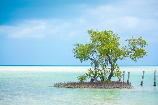 Holbox tour from Cancun and Riviera Maya - Final Thoughts