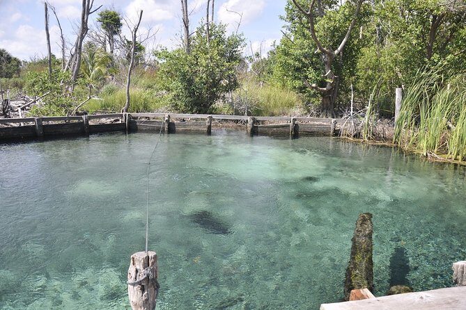 Holbox Tour - Island & Cenote from Cancun and Playa del Carmen - Summary and Recommendations