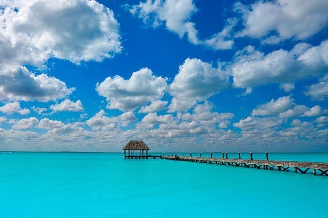 Holbox Tour! Nature Adventure from Cancun & Playa Del Carmen - Key Points