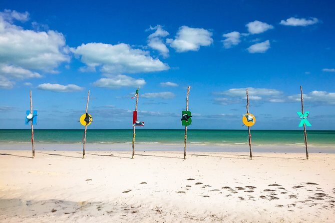 Holbox Tour! Nature Adventure from Cancun & Playa Del Carmen - The First Stop: Holbox Island
