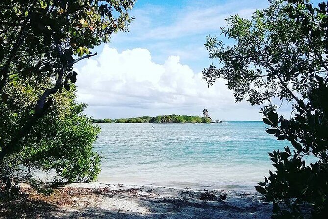 Holbox Tour! Nature Adventure from Cancun & Playa Del Carmen - Isla de la Pasion and the Sandbars