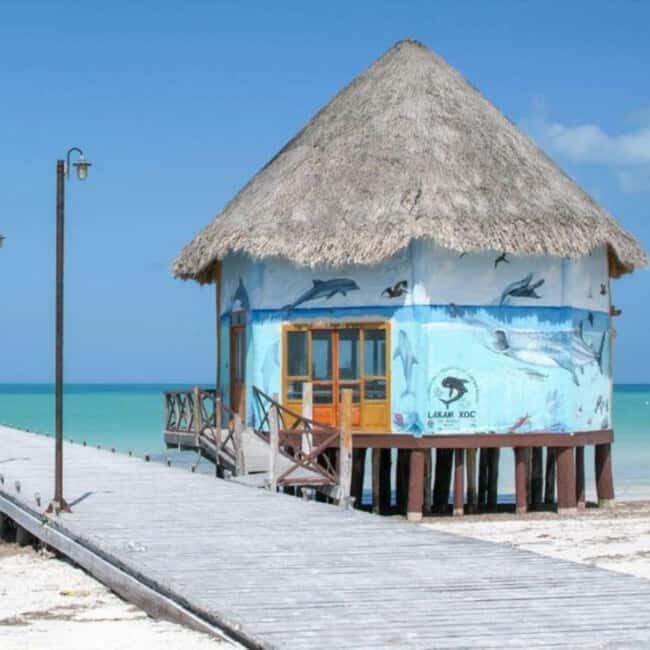 Holbox: Tour of Holbox Island, Isla Pasión, and Punta Mosquito. - Exploring the Itinerary: What Makes Each Stop Special