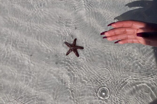 Holbox Tour Punta Mosquito from Cancun - Authentic Experiences and Authentic Value