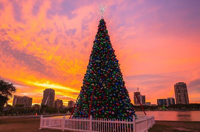 Holiday Lights Golf Cart Ride in Downtown St. Petersburg - Authentic Experiences and Traveler Feedback