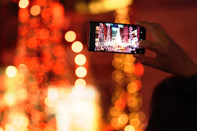 Holiday Scavenger Hunt in San Jose Review - Accessibility and Considerations