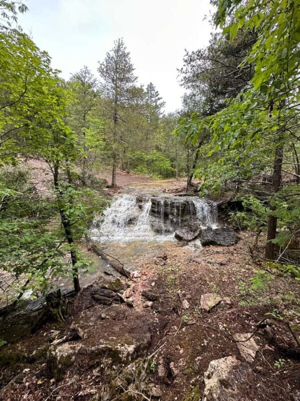 Hollister: 4-Seater CanAm UTV Off-Road Rental - The Practical Side: Booking, Duration, and Group Size