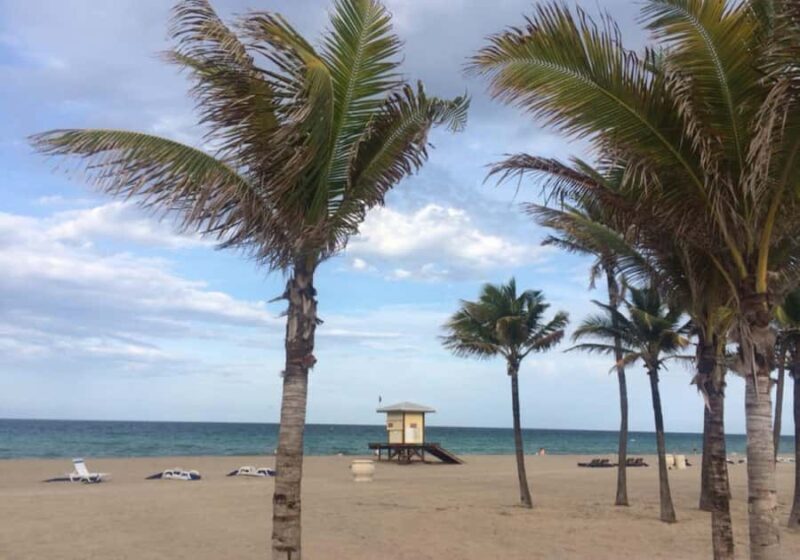 Hollywood Beach: Broadwalk Food Tour - Practical Tips for Participants