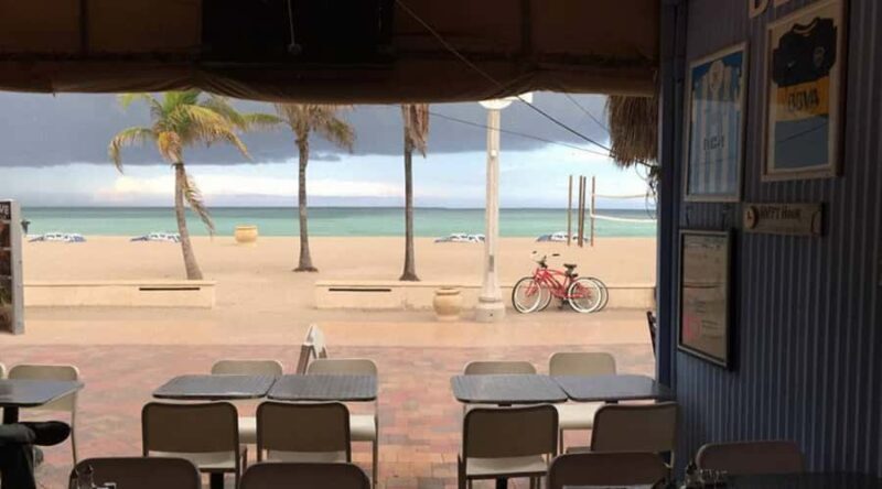 Hollywood Beach: Broadwalk Food Tour - Who Will Love This Tour?