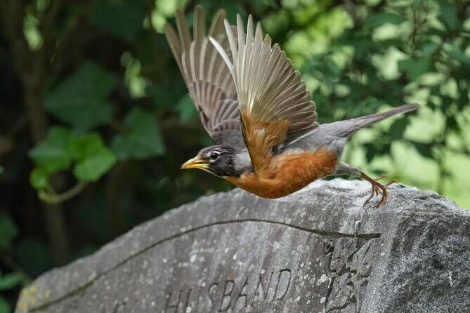 Hollywood Cemetery Hills and History - Frequently Asked Questions