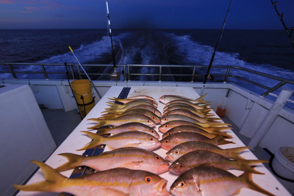 Hollywood, FL: Family-Friendly Drift Fishing Boat Trip - Key Points