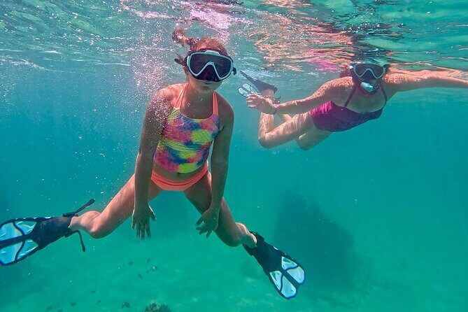 Hollywood Snorkel, Kayak & Paddleboard with Reefs and Sculptures - FAQ