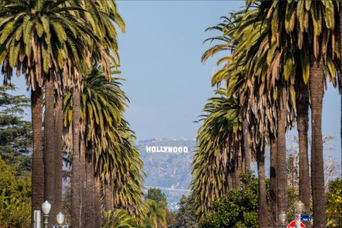 Hollywood Walk OF Fame Experience and Sightseeing - A Detailed Look at the Hollywood Walk of Fame Experience