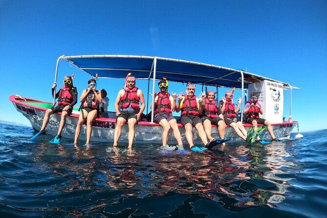 Holy Spirit Island Tour and snorkeling with sea lions - Included and Not Included