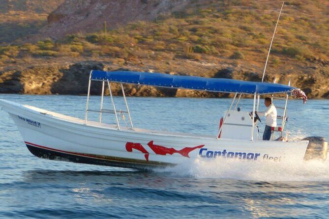 Holy Spirit Island Tour Sea Lions Snorkeling and Beach - Authenticity and Authentic Experiences