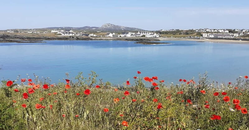 Holyhead: Holy Island Anglesey Coastal Hike - Visiting Historic and Sacred Sites