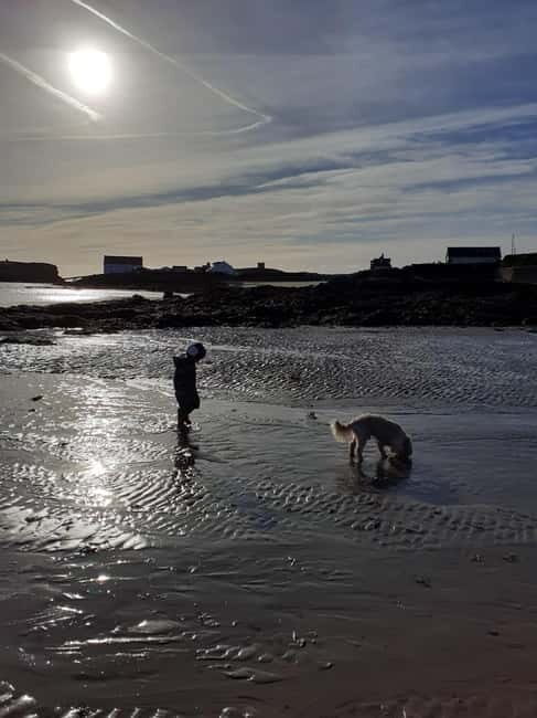 Holyhead: Holy Island Anglesey Coastal Hike - What’s Included and What to Bring