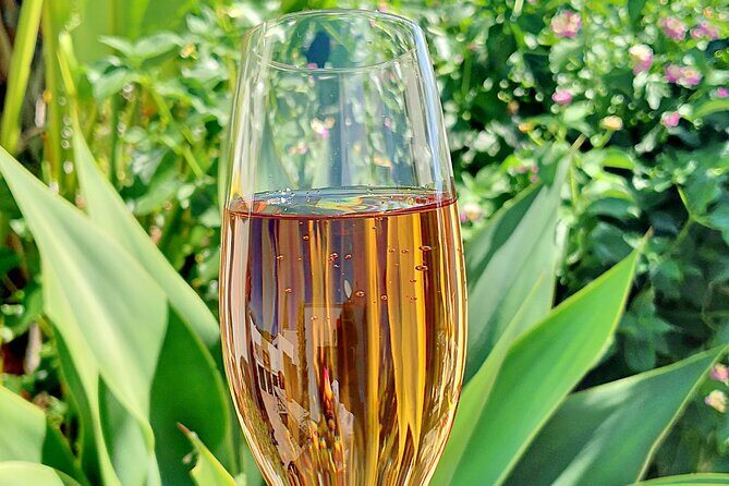 Homemade algarvian with a twist gourmet experience - Key Points