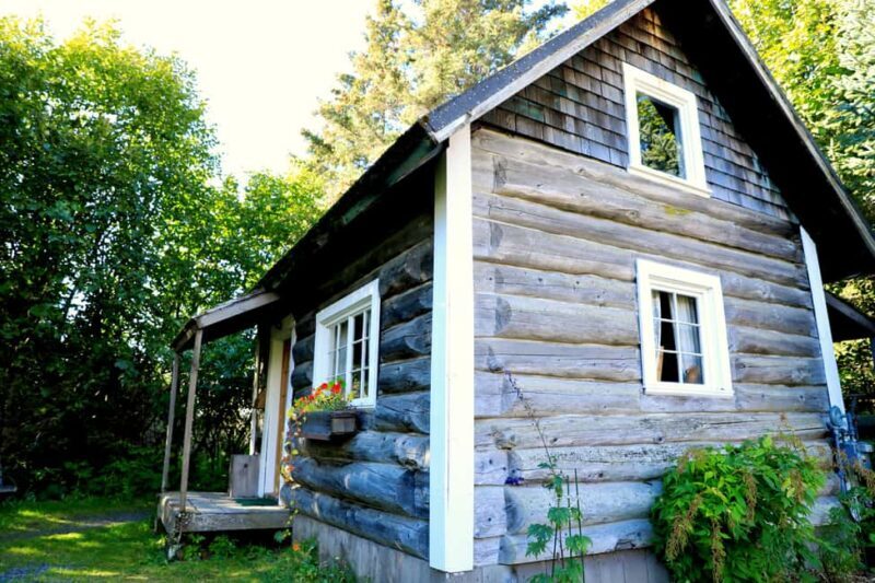 Homer: Pratt Museum Admission Ticket - Final Thoughts: Who Will Love the Pratt Museum?