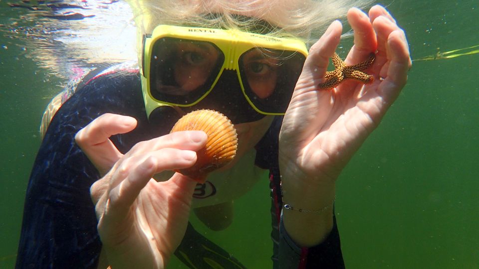 Homosassa: Snorkel & Scallop Hunt in Gulf of Mexico - What to Bring Home