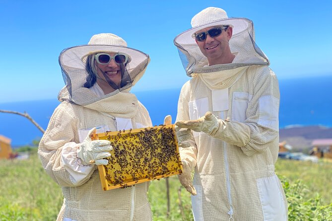 Honey Bee Adventure at the Maui Honey Bee Sanctuary - Traveler Experiences and Feedback