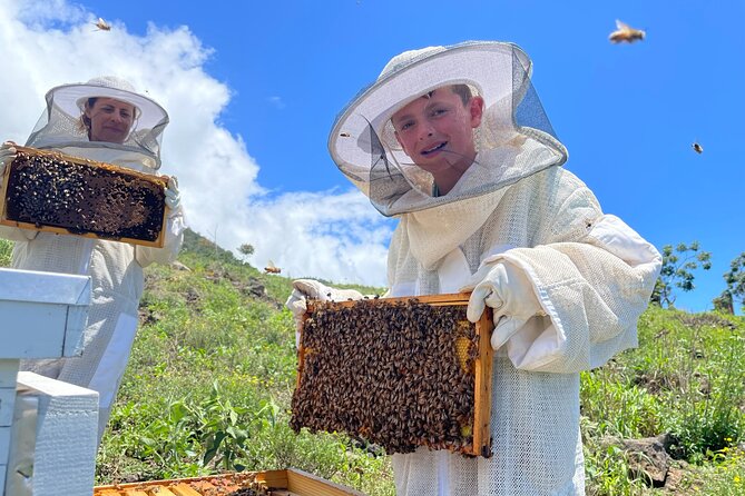 Honey Bee Adventure at the Maui Honey Bee Sanctuary - What to Expect on Your Visit