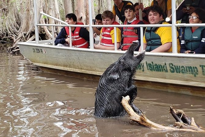 Honey Island Swamp Boat Tour - Additional Information