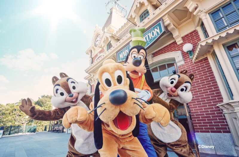 Hong Kong Disneyland Park Tickets - Accessibility and Entry Details