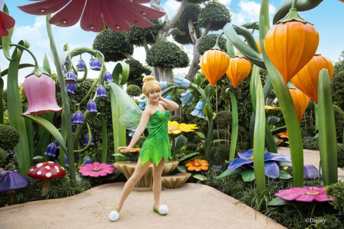 Hong Kong Disneyland Park Tickets - Reserve Now, Pay Later Option