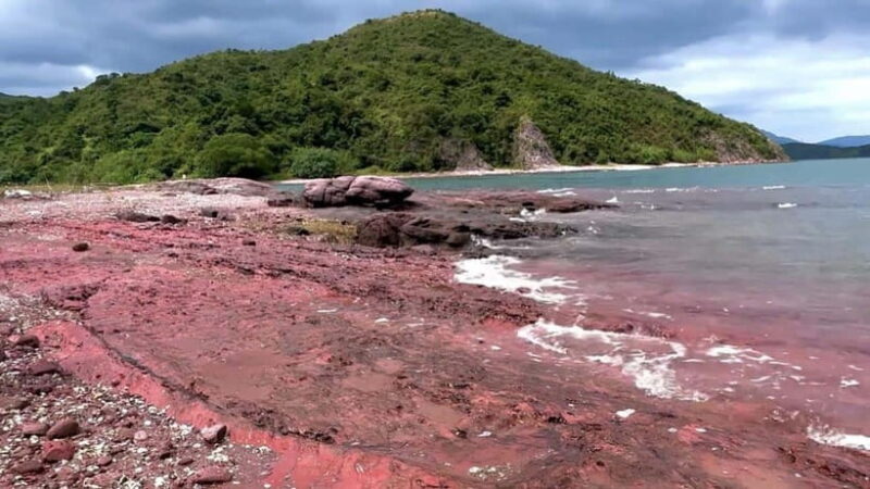 Hong Kong: Geopark Flaming Red Coast Hopping Tour - The Thrill of Speedboat Transfers & On-Land Exploration