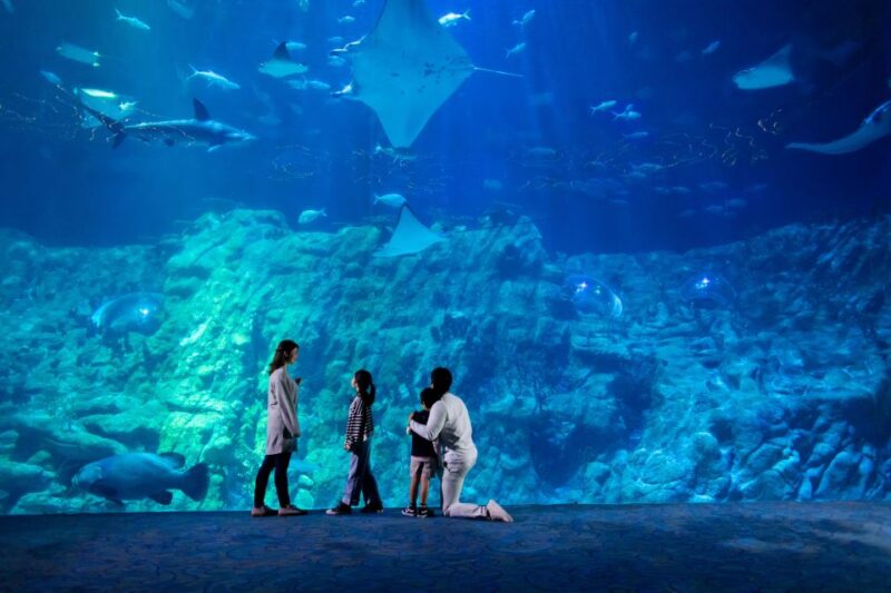 Hong Kong: Go City Explorer Pass - Choose 4 to 7 Attractions - Flexibility and Reservation Options