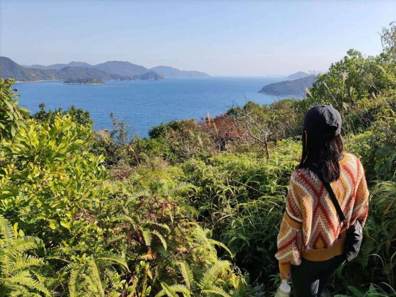 Hong Kong Hiking and Hidden Gems Tour - The Experience of the Guide and Group Size