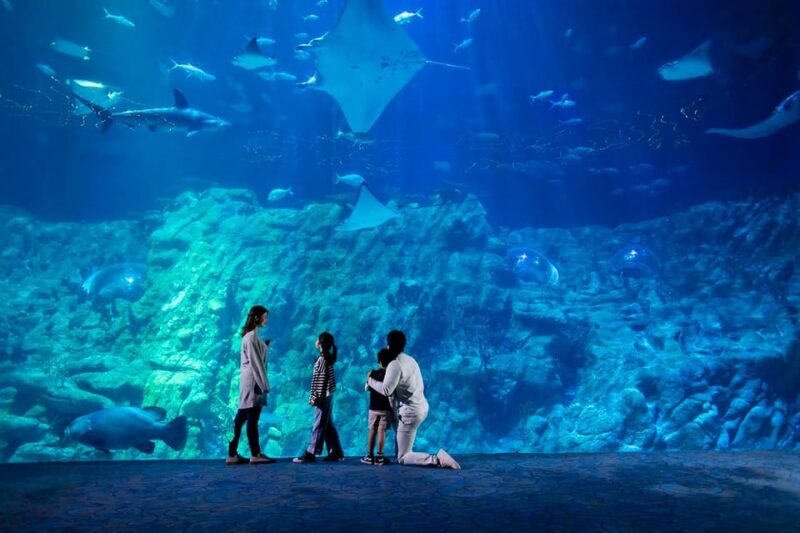 Hong Kong: Ocean Park Entry Ticket + Fine Dining @ Aquarium - Good To Know
