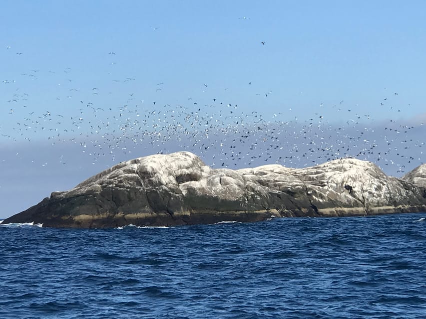 Honningsvåg: North Cape King Crab & Arctic Wildlife Safari - Authentic Experiences and Authenticity