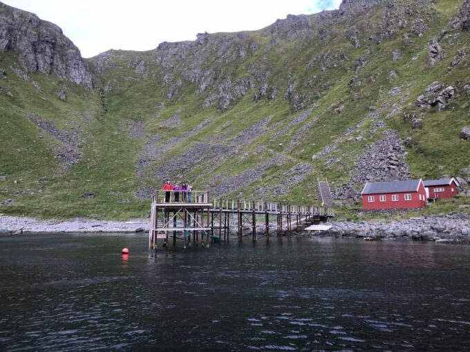 Honningsvåg: North Cape King Crab & Arctic Wildlife Safari - Booking Information